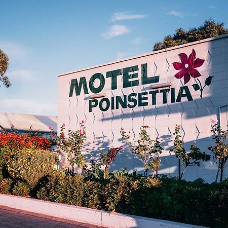 Motel Poinsettia Port Augusta Exterior foto